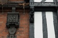 Ed -DSC_0208